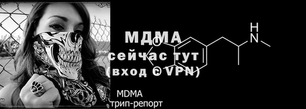 спайс Гусев