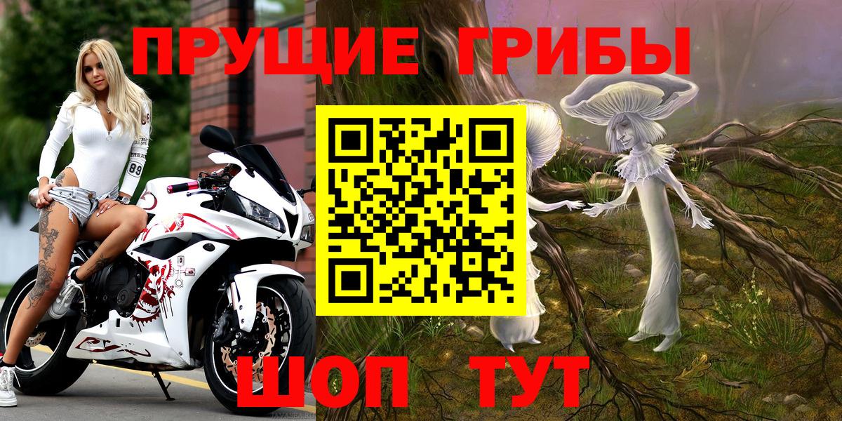 Псилоцибиновые грибы Psilocybe  Вход с VPN  Галлюциногенные грибы GOLDEN TEACHER  Карталы 
